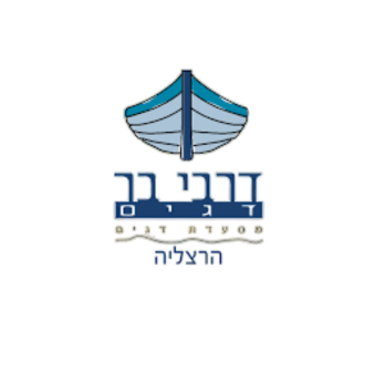 עיצוב ללא שם - 2026-03-11T142517.992